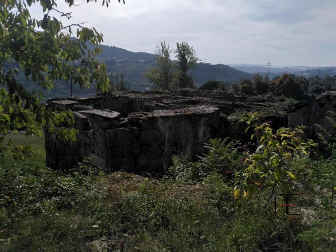 Quinta T7 para Venda em Boelhe Foto 31