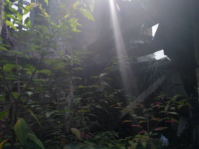 Quinta T7 para Venda em Boelhe Foto 33