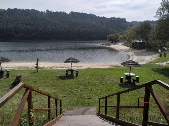 Quinta T7 para Venda em Boelhe Foto 1