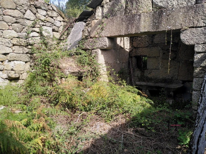 Quinta T7 para Venda em Boelhe Foto 15