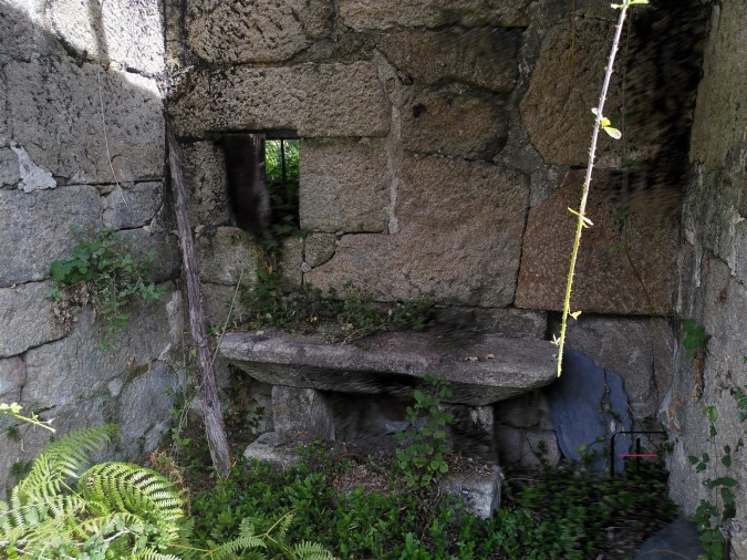 Quinta T7 para Venda em Boelhe Foto 17