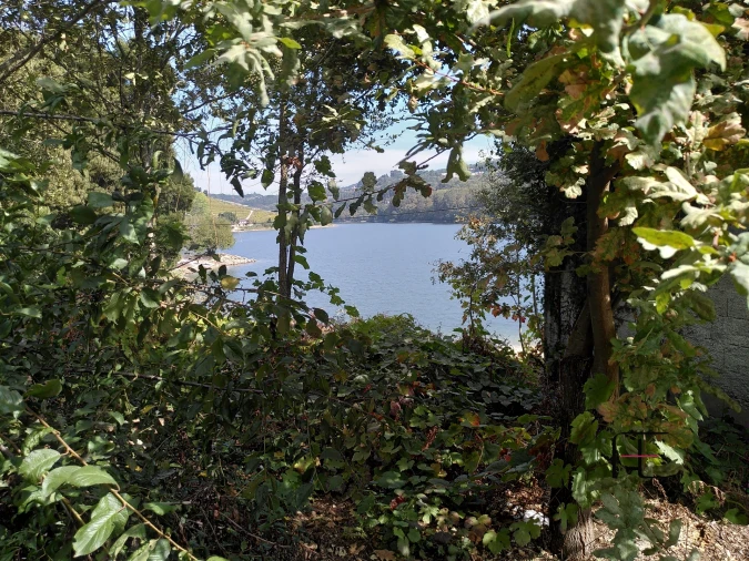 Quinta T7 para Venda em Boelhe Foto 35