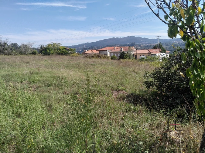 Quinta T7 para Venda em Boelhe Foto 26