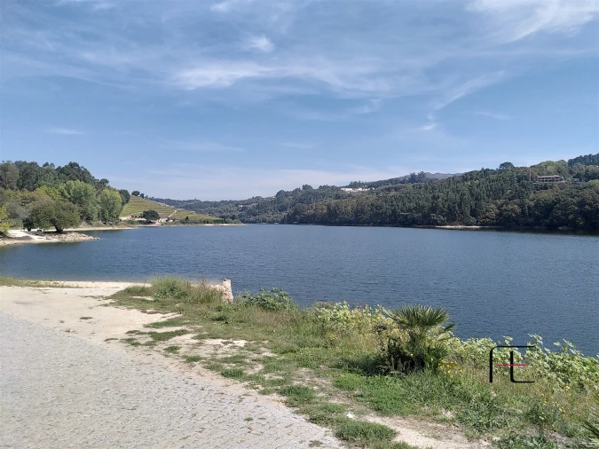 Quinta T7 para Venda em Boelhe Foto 37