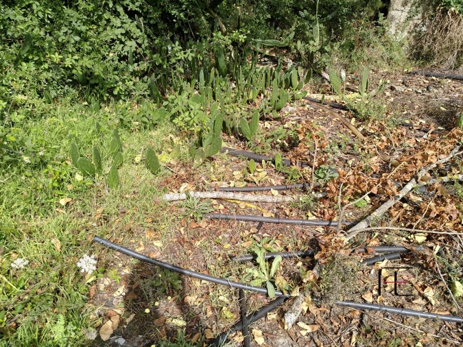 Quinta T7 para Venda em Boelhe Foto 30