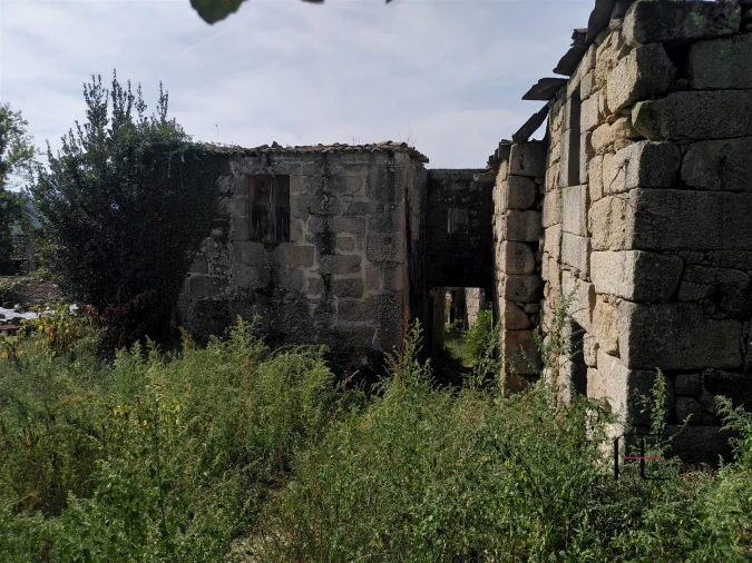 Quinta T7 para Venda em Boelhe Foto 28