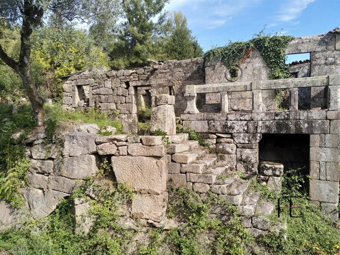 Quinta T7 para Venda em Boelhe Foto 8