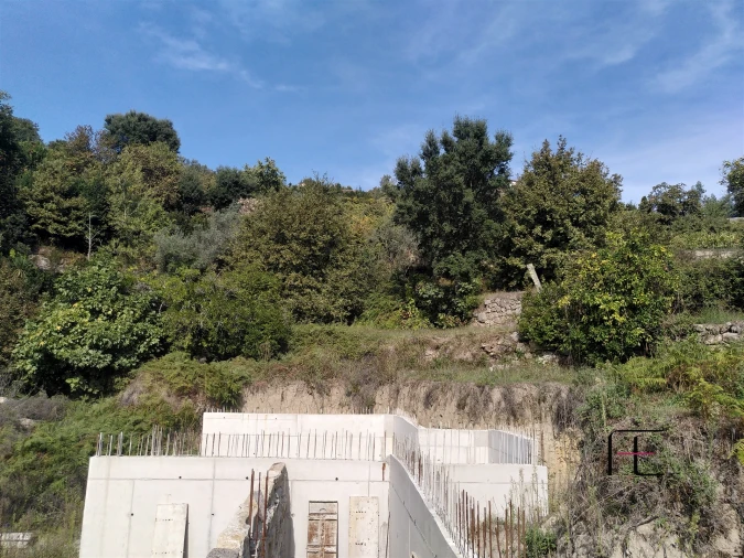 Quinta T7 para Venda em Boelhe Foto 12