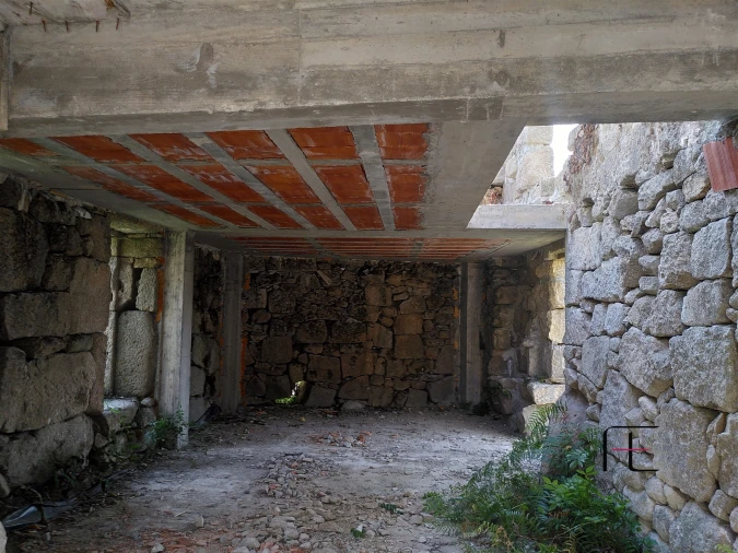 Quinta T7 para Venda em Boelhe Foto 3