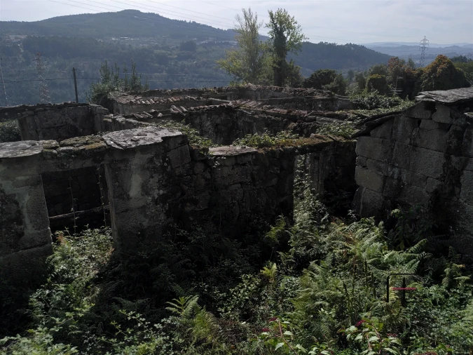 Quinta T7 para Venda em Boelhe Foto 24