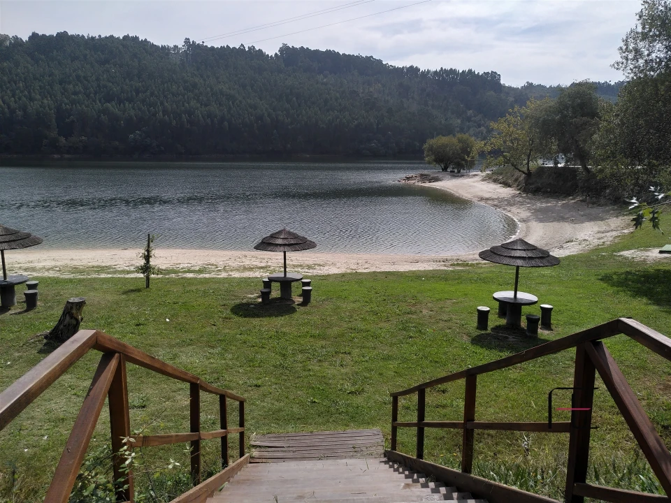 Quinta T7 para Venda em Boelhe Foto 1