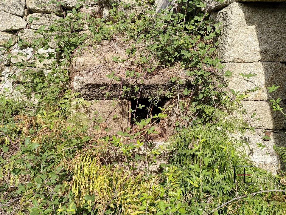 Quinta T7 para Venda em Boelhe Foto 16