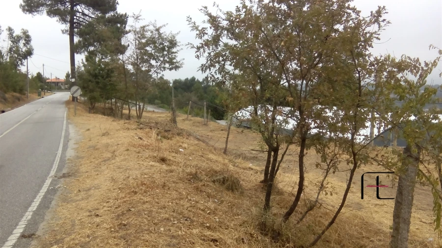 Terreno para Venda em Vila Caiz Foto 5