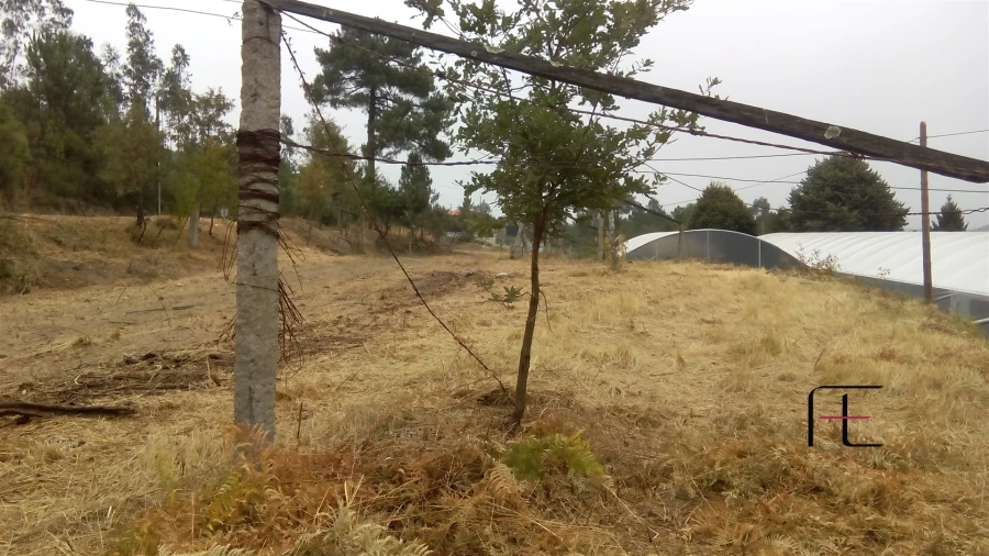 Terreno para Venda em Vila Caiz