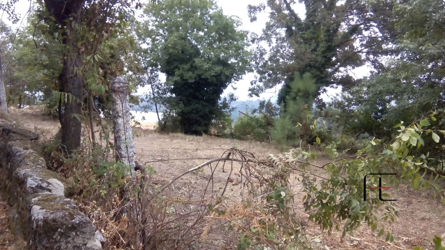 Terreno para Venda em Vila Caiz Foto 6