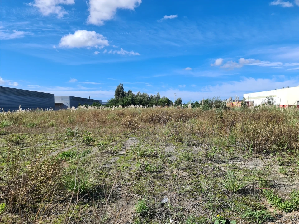 Terreno Comércio / Armazém para Venda em Ovar, São João, Arada e São Vicente de Pereira Jusã Foto 2
