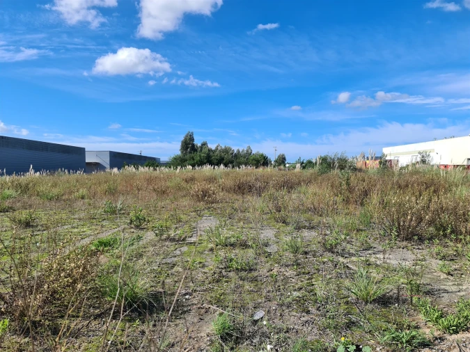 Terreno Comércio / Armazém para Venda em Ovar, São João, Arada e São Vicente de Pereira Jusã Foto 2