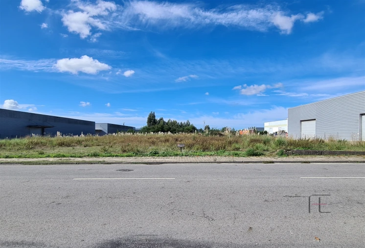 Terreno Comércio / Armazém para Venda em Ovar, São João, Arada e São Vicente de Pereira Jusã