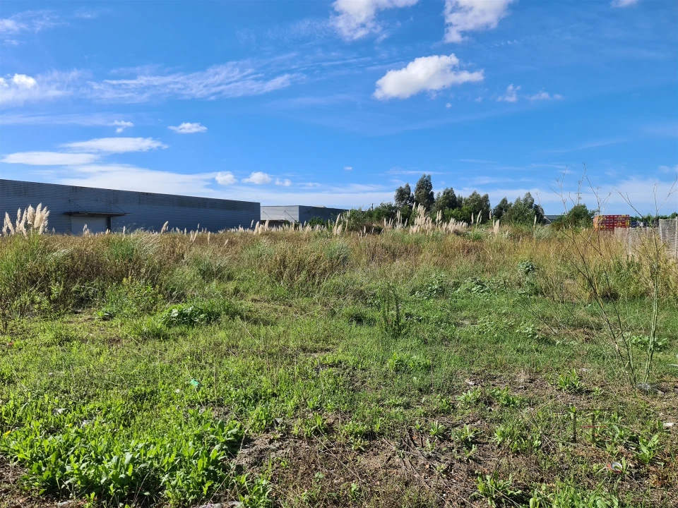 Terreno Comércio / Armazém para Venda em Ovar, São João, Arada e São Vicente de Pereira Jusã Foto 3