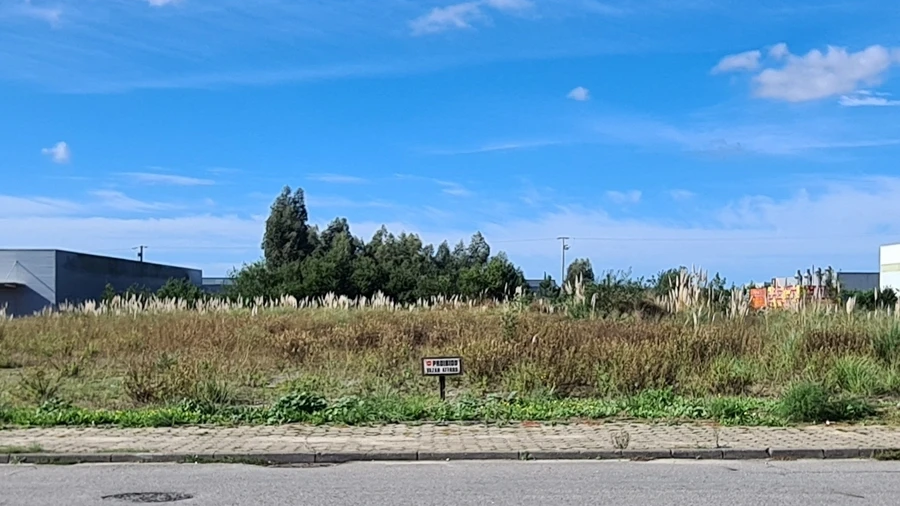 Terreno Comércio / Armazém para Venda em Ovar, São João, Arada e São Vicente de Pereira Jusã