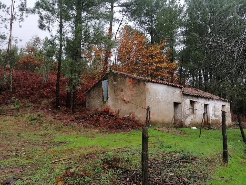 Quinta T0 para Venda em Santa Maria da Devesa Foto 1