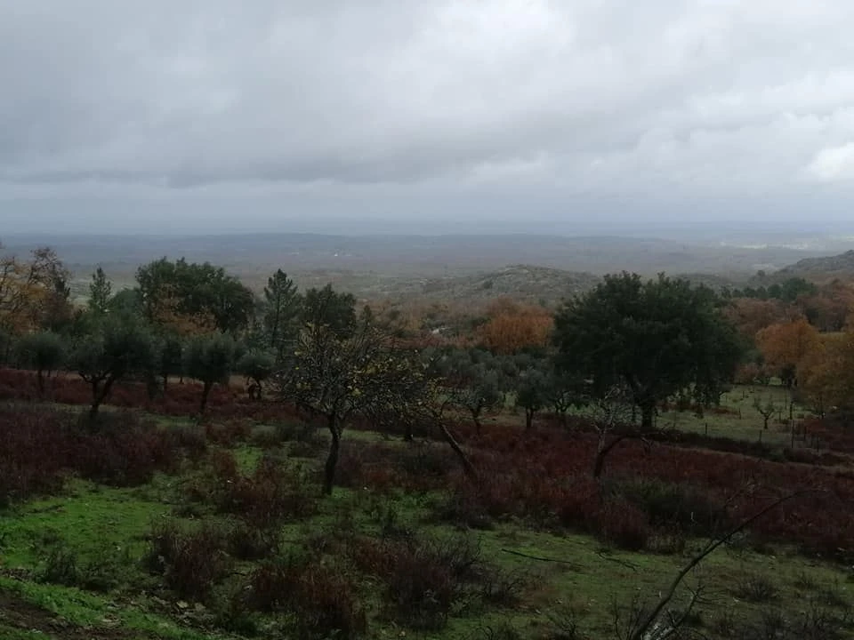Quinta T0 para Venda em Santa Maria da Devesa Foto 2