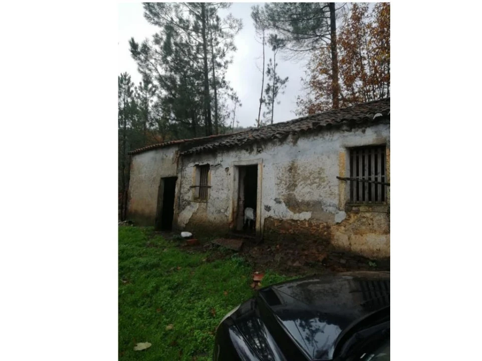 Quinta T0 para Venda em Santa Maria da Devesa Foto 6