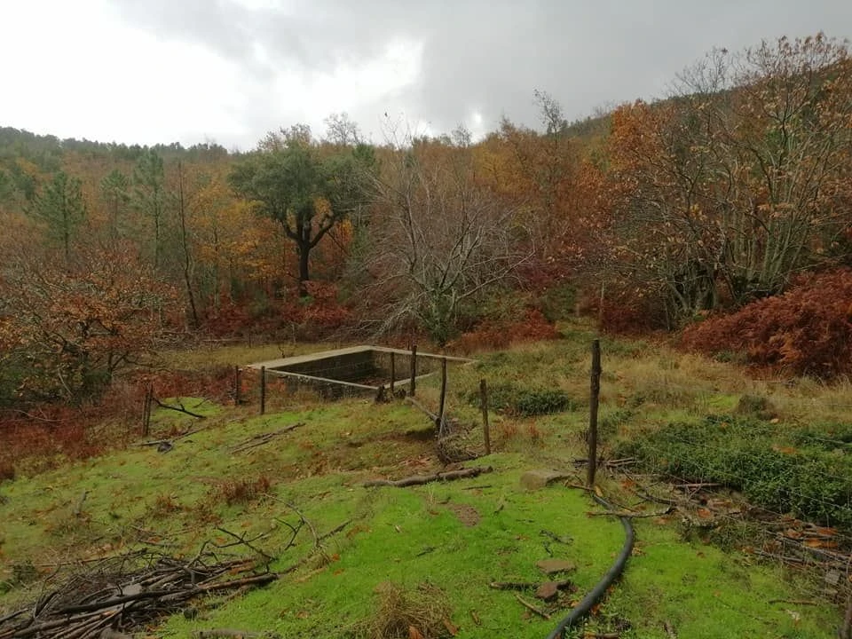 Quinta T0 para Venda em Santa Maria da Devesa Foto 7