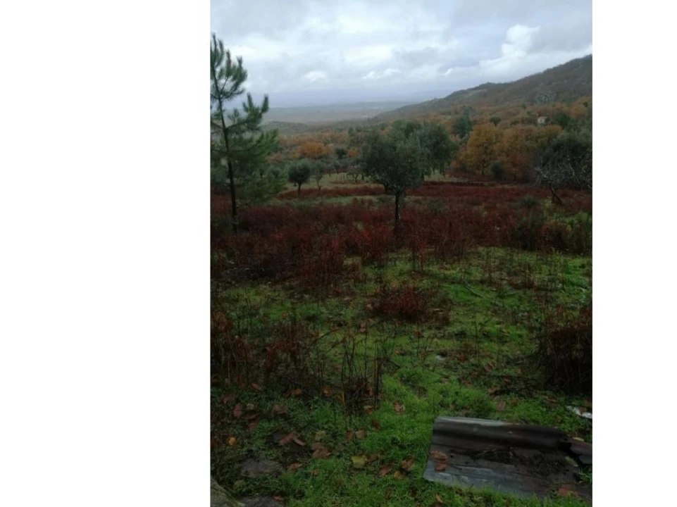 Quinta T0 para Venda em Santa Maria da Devesa Foto 8