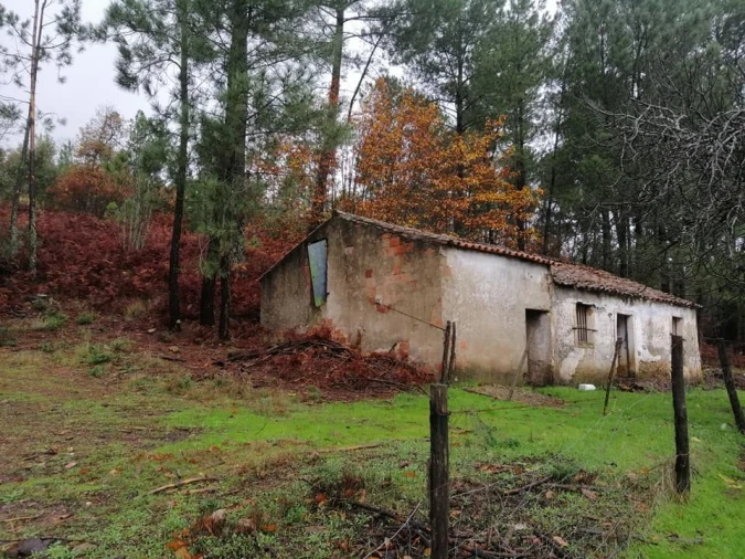 Quinta T0 para Venda em Santa Maria da Devesa Foto 1