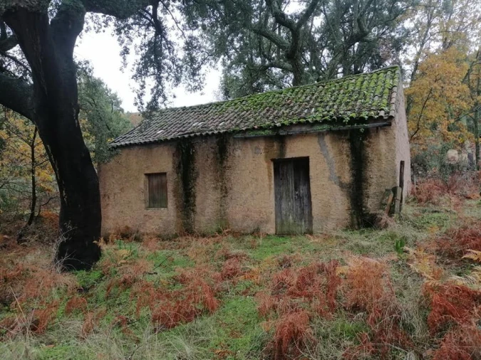 Quinta T0 para Venda em Santa Maria da Devesa Foto 9