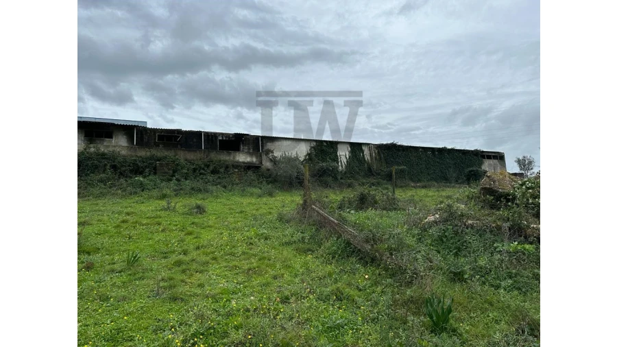 Terreno Comércio / Armazém para Venda em Venda do Pinheiro e Santo Estêvão das Galés Foto 13