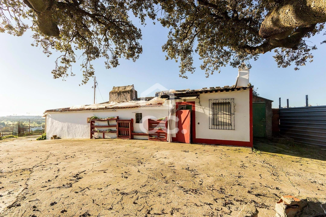 Quinta T26 para Venda em Malagueira e Horta das Figueiras Foto 8