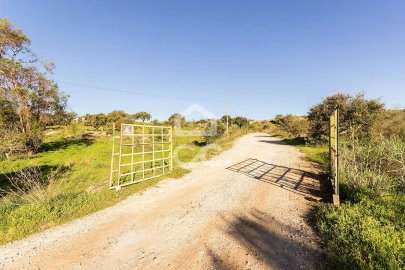 Quinta T26 para Venda em Malagueira e Horta das Figueiras