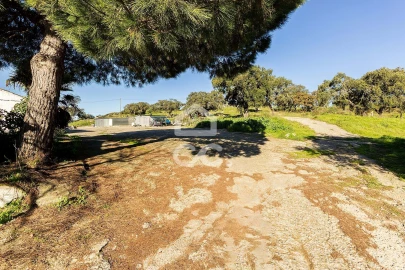 Quinta T26 para Venda em Malagueira e Horta das Figueiras