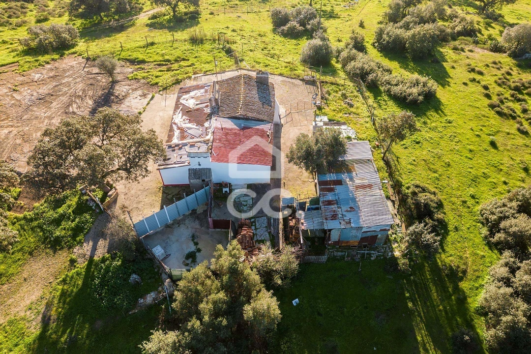 Quinta T26 para Venda em Malagueira e Horta das Figueiras Foto 20
