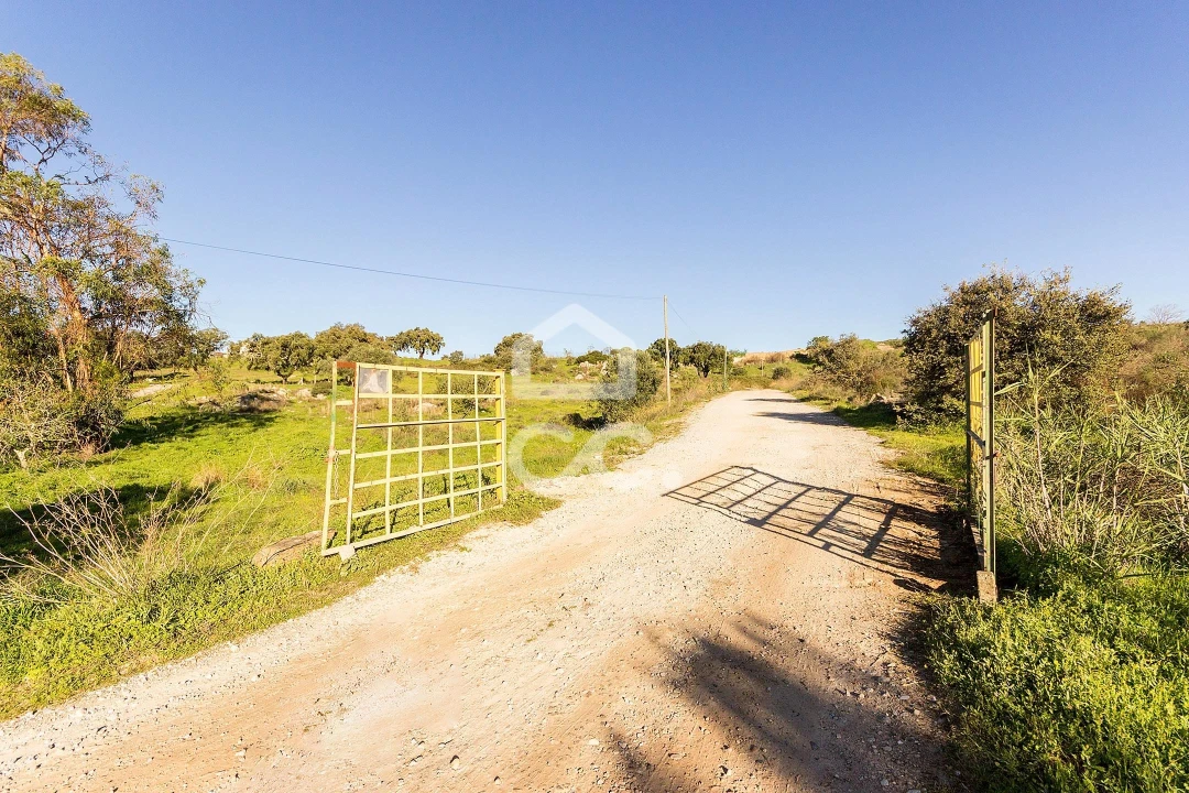 Quinta T26 para Venda em Malagueira e Horta das Figueiras Foto 17