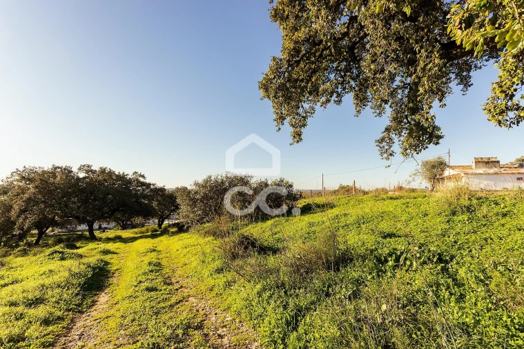Quinta T26 para Venda em Malagueira e Horta das Figueiras Foto 15