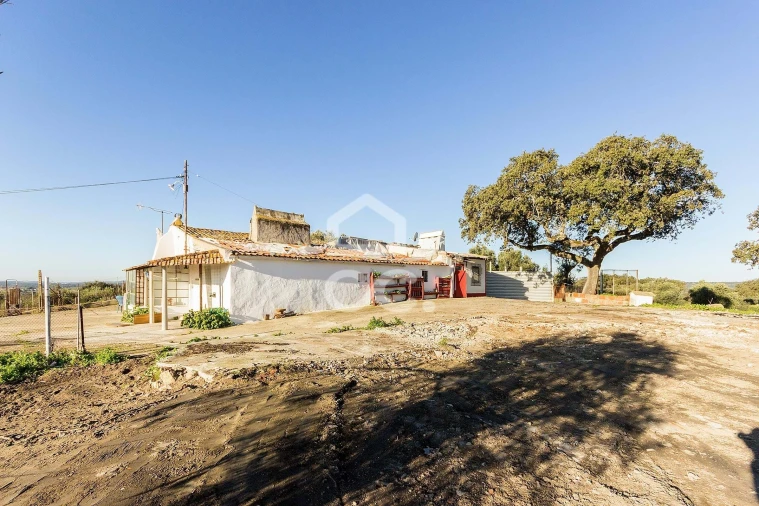 Quinta T26 para Venda em Malagueira e Horta das Figueiras Foto 12