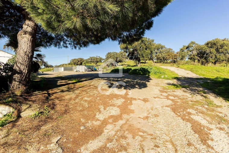 Quinta T26 para Venda em Malagueira e Horta das Figueiras Foto 16