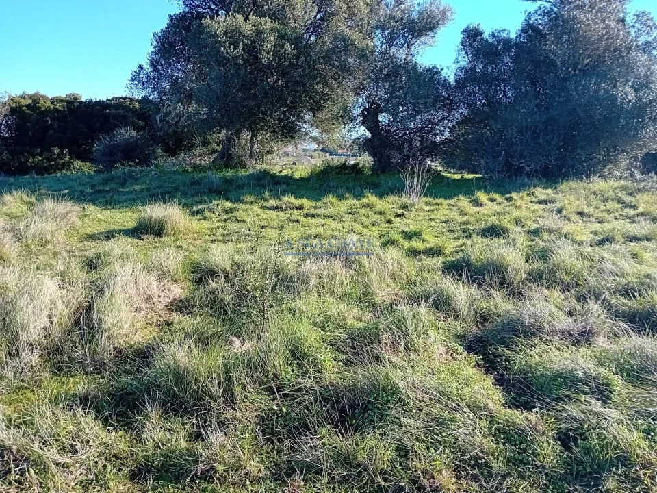 Terreno para Venda em Sesimbra (Castelo) Foto 4