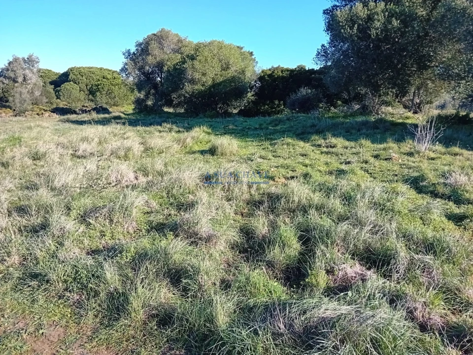 Terreno para Venda em Sesimbra (Castelo) Foto 7