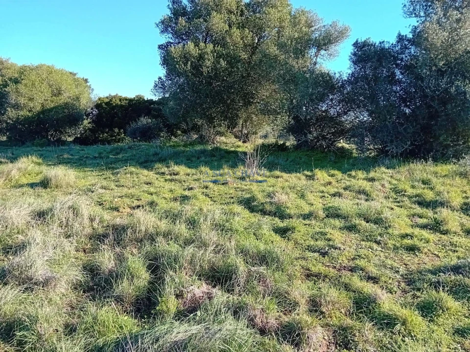 Terreno para Venda em Sesimbra (Castelo) Foto 6