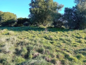 Terreno para Venda em Sesimbra (Castelo)