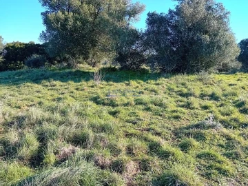 Terreno para Venda em Sesimbra (Castelo)