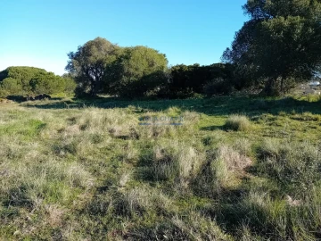 Terreno para Venda em Sesimbra (Castelo)