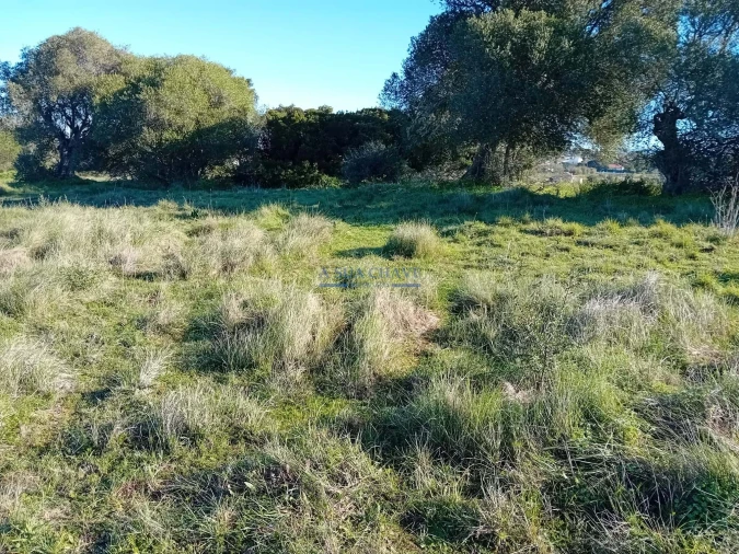 Terreno para Venda em Sesimbra (Castelo) Foto 3