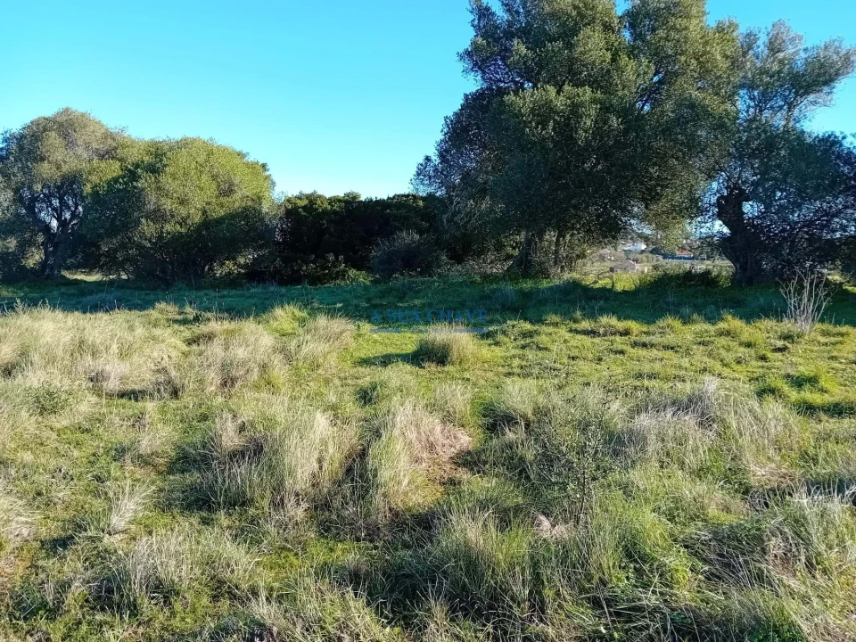 Terreno para Venda em Sesimbra (Castelo) Foto 2