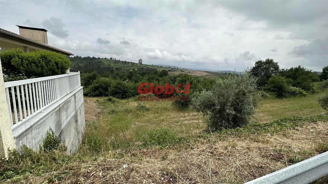 Terreno para Venda em Santos Evos Foto 2