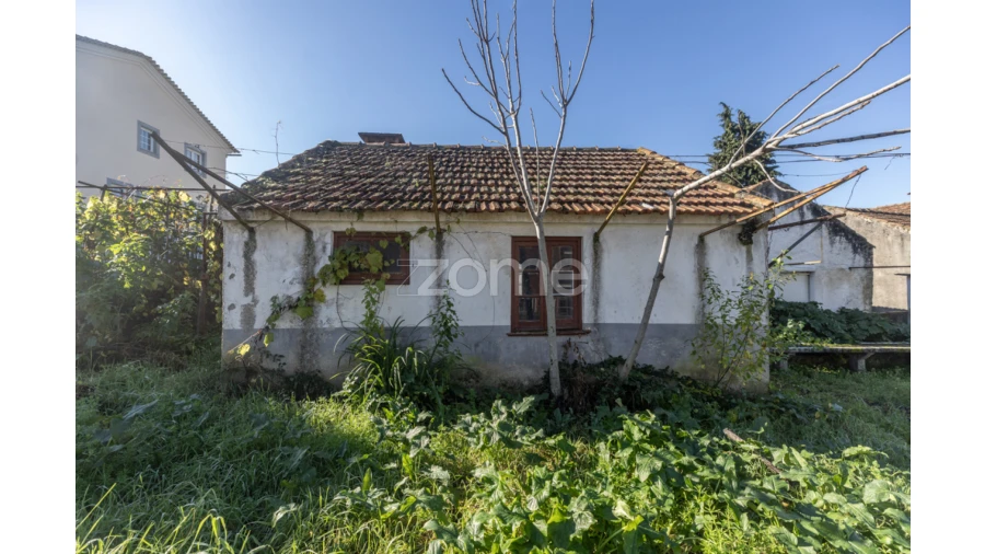 Quinta T8 para Venda em Arganil Foto 3